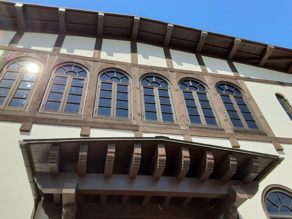 みの字、お昼ごはんを食べに行く🍴