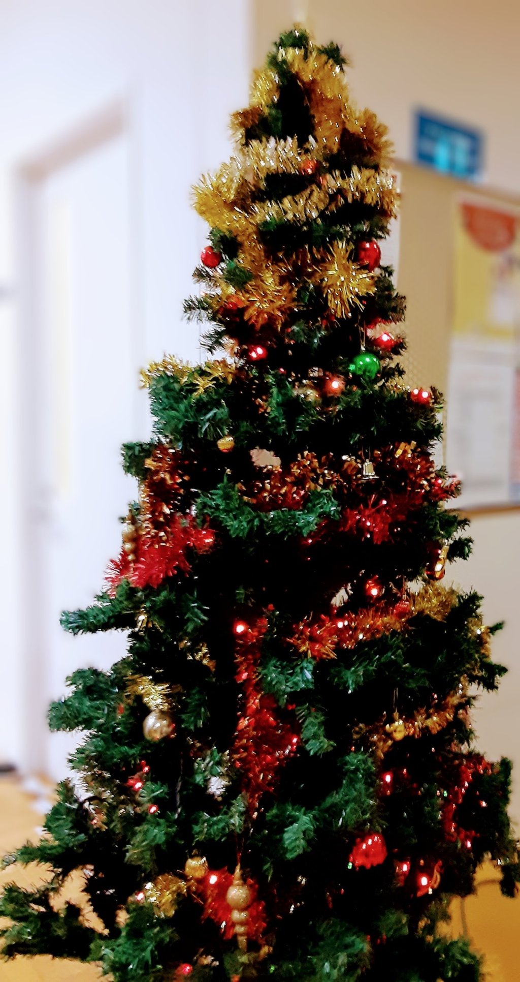 Marché de Noël 2023 ✨その他12月のお散歩など&nbsp;中編